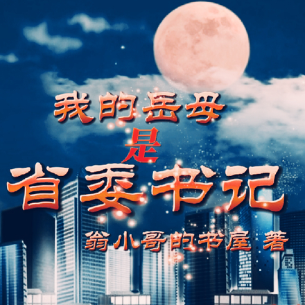 我的岳母是省委书记