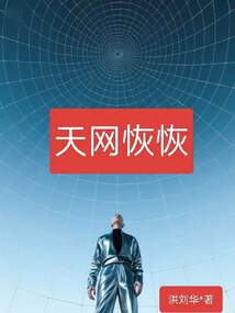 天网恢恢