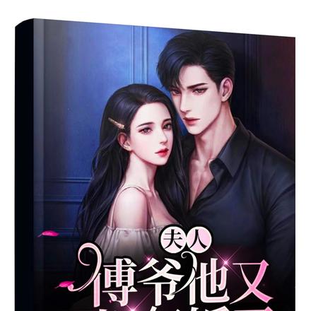夫人,傅爷他又想复婚了
