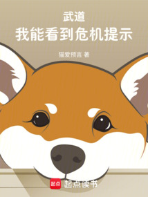 武道:我能看到危机提示!