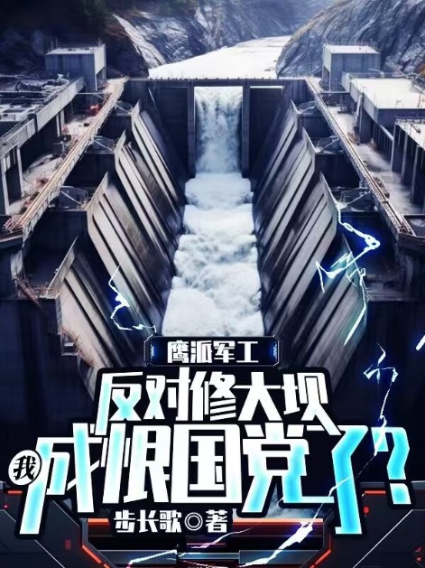鹰派军工：反对修大坝,我成恨国党了？