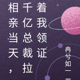 相亲当天,千亿总裁拉着我领证