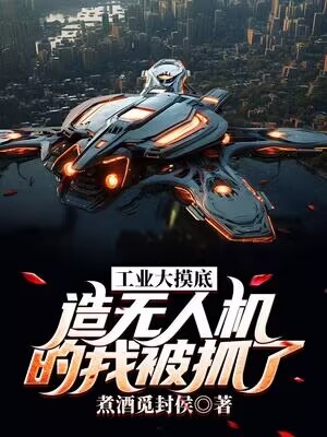 工业大摸底,造无人机的我被抓了