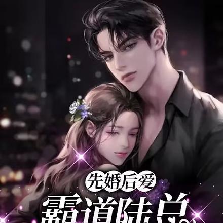 先婚后爱：霸道陆总秒变粘人精