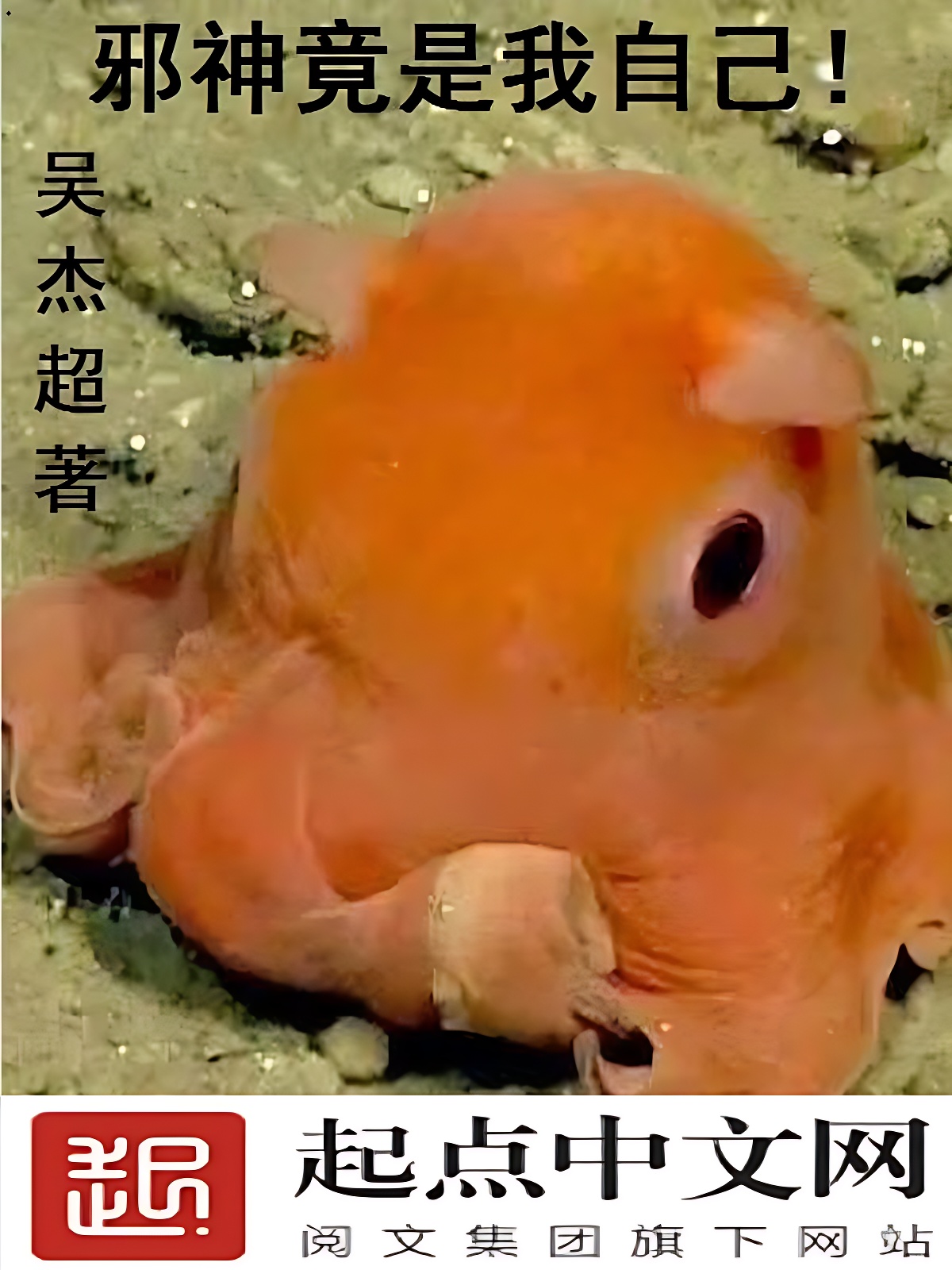邪神竟是我自己！
