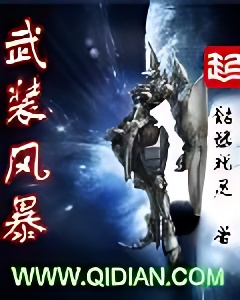 武装风暴