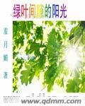 绿叶间隙的阳光