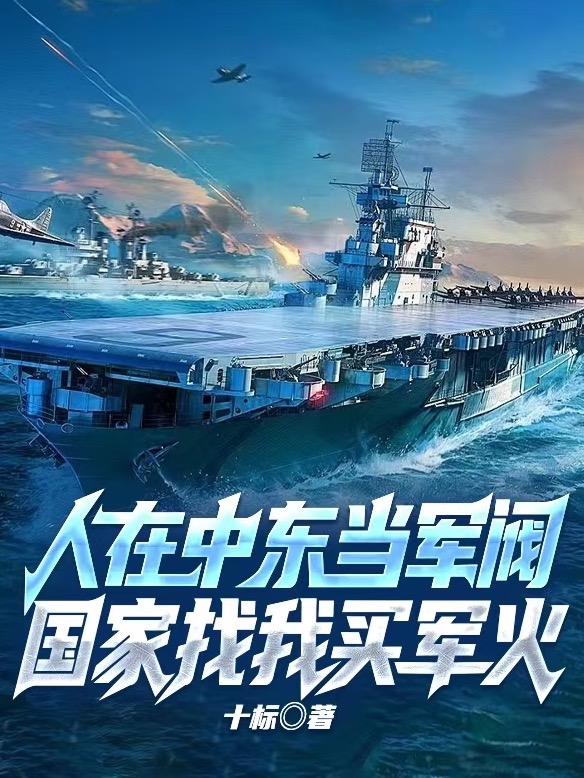 人在中东当军阀，国家找我买军火