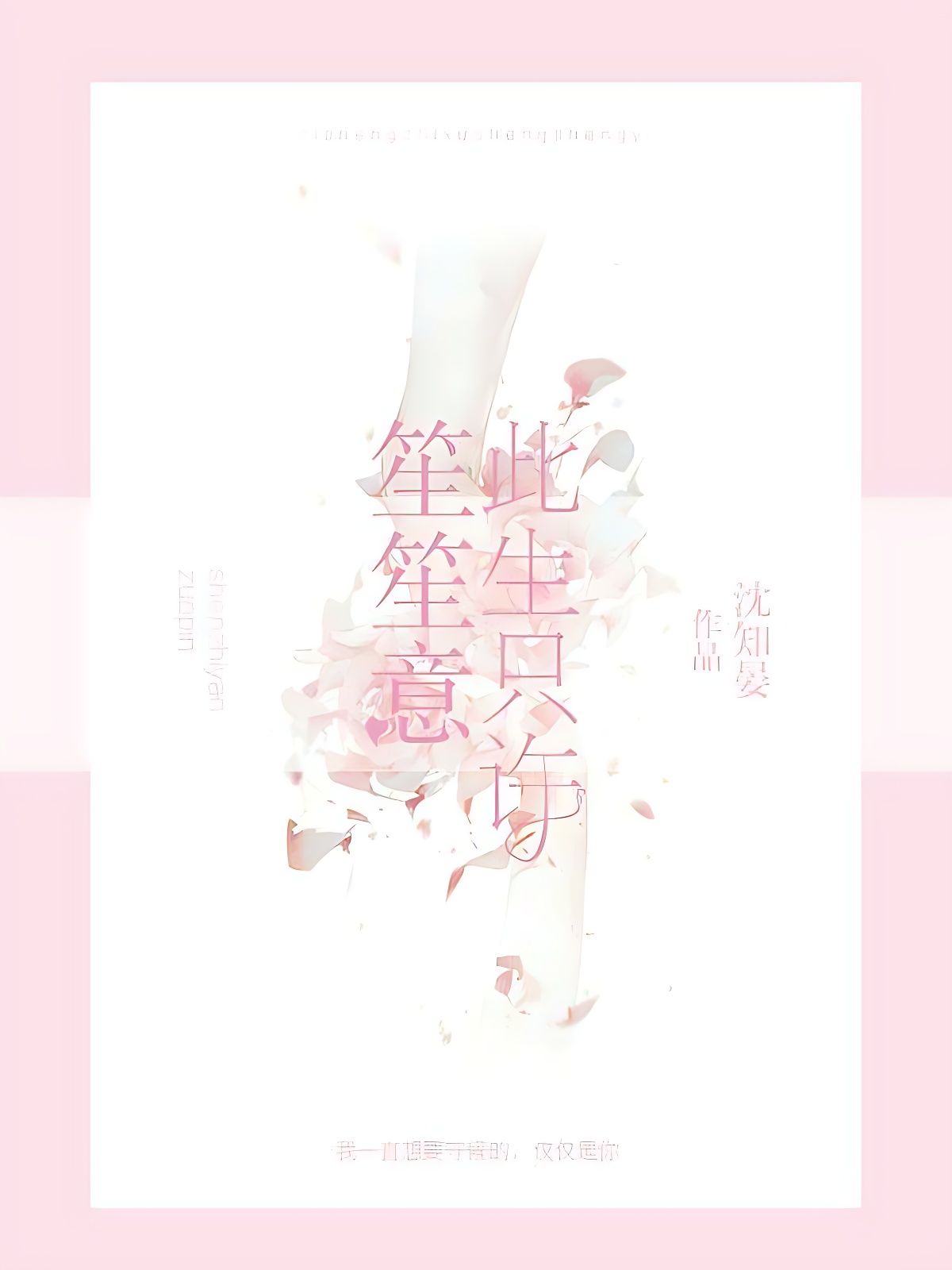 此生只许笙笙意