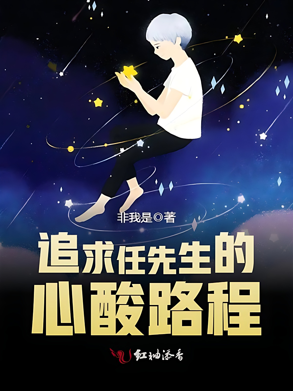 追求任先生的心酸路程