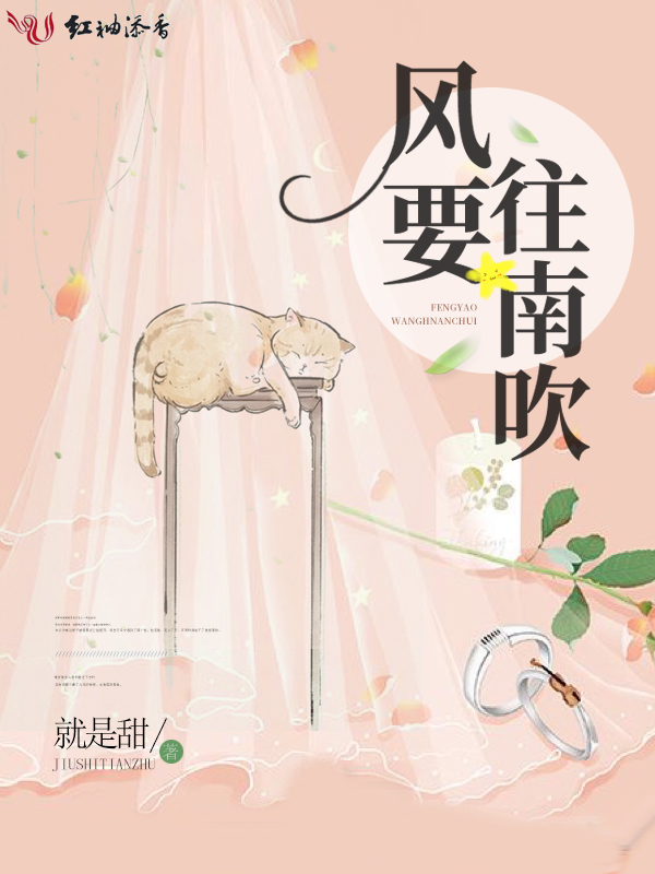 风要往南吹