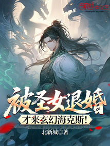 被圣女退婚,才来玄幻海克斯!