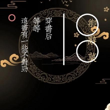 穿书后，等等，这书有一些不对劲