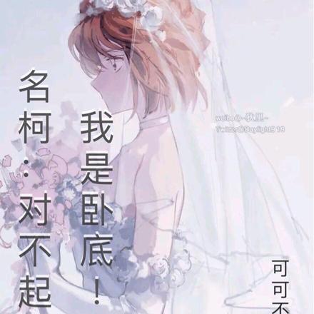名柯：对不起，我是卧底！