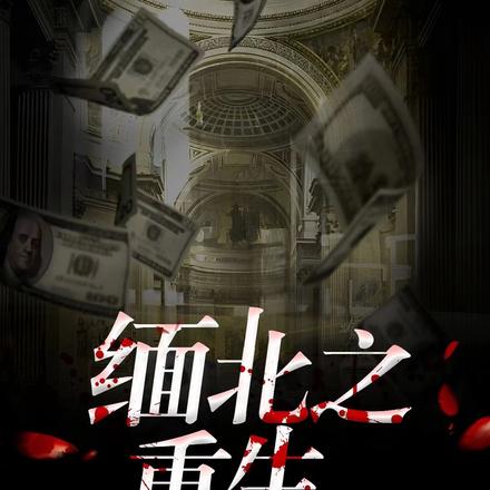 缅北之重生又名缅北的蜕变