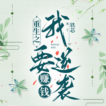 重生之我要逆袭赚钱