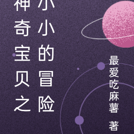 神奇宝贝之小小的冒险