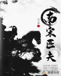 南宋匹夫