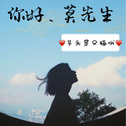 你好，莫先生