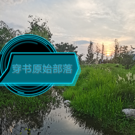 穿书原始部落