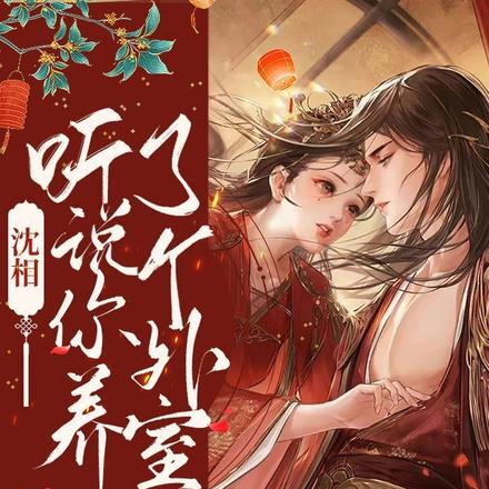 沈相，听说你养了个外室