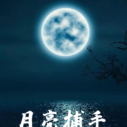 月亮捕手