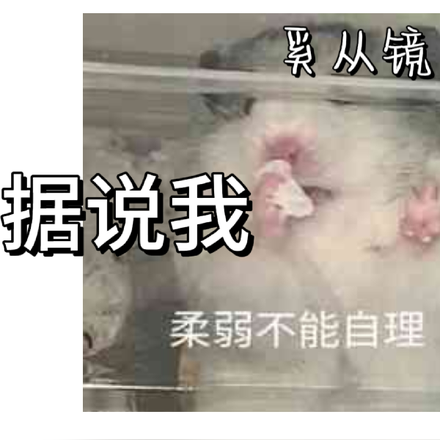 据说我柔弱不能自理