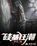 硅基狂潮