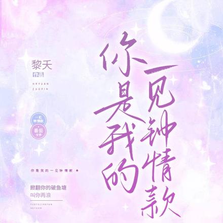 你是我的一见钟情款