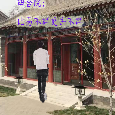 四合院:比易不群更岳不群