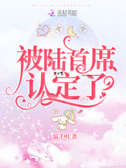 被陆首席认定了