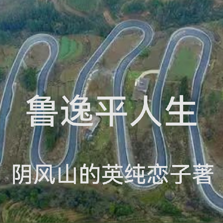 鲁逸平人生