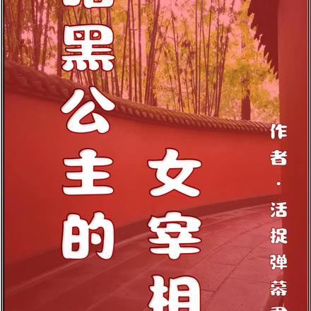 暗黑公主的女宰相