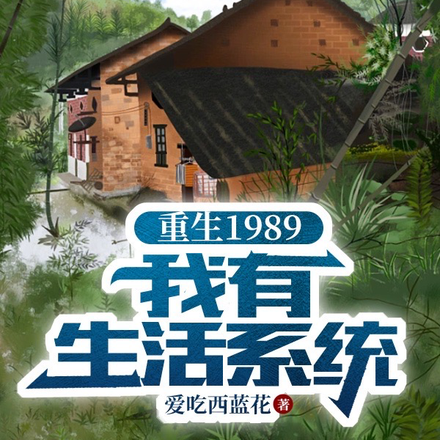 重生1989:我觉醒了生活系统