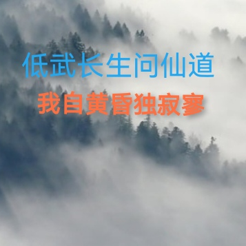 低武长生问仙道，我自黄昏独寂寥