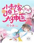 穿越:小刺客撩上大神医