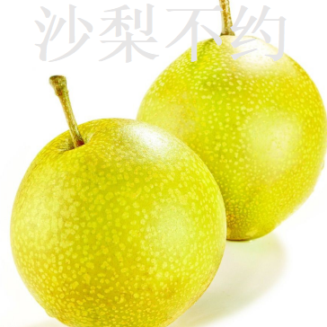 沙梨不约