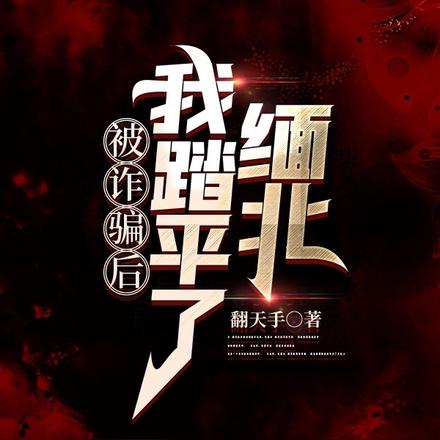 被诈骗后，我踏平了缅北