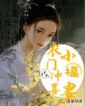 农门冲喜小福妻
