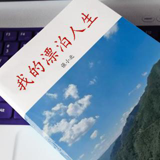 漂泊人生的图片