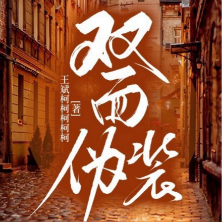 双面伪装