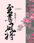 至尊凤将
