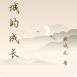林城的成长