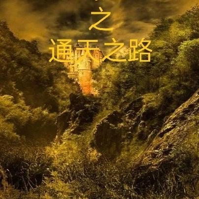 武道之通天之路