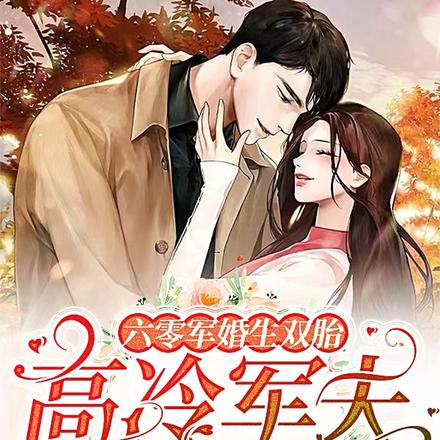 六零军婚生双胎:高冷军夫太缠人