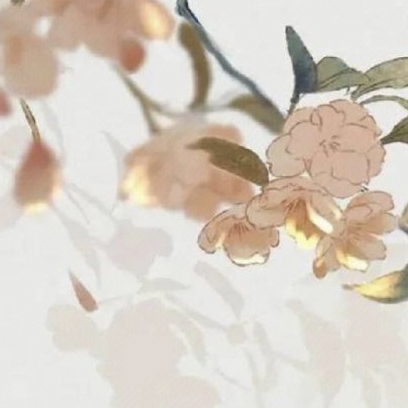 我的古代农家日常