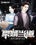 豪婿当道
