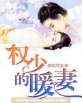 权少的暖妻