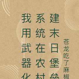 我用武器化系统在农村建末日堡垒