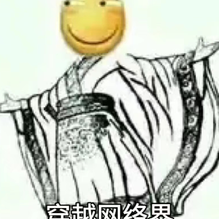 穿越网络界，但是一代整活大师